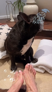 Anthea Turner feet photo thumbnail