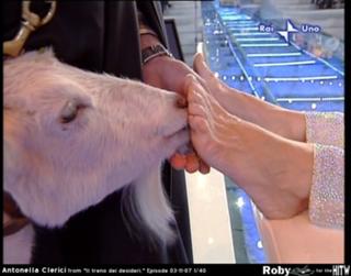 Antonella Clerici feet photo thumbnail