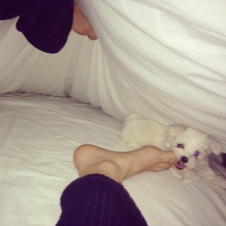 Antonella Fiordelisi feet photo thumbnail