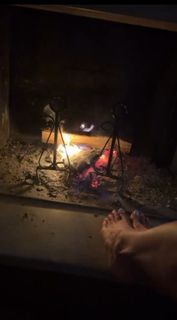 Antonella Mosetti feet photo 18