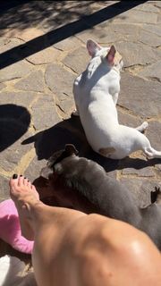 Antonella Mosetti feet photo 12