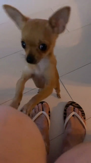 Antonia San Juan feet photo 12