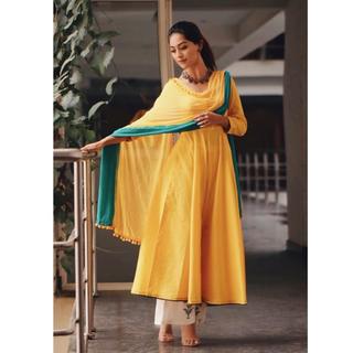 Anu Emmanuel feet photo 17