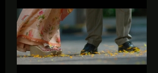 Anu Emmanuel feet photo 19