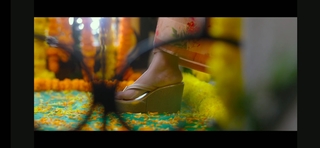 Anu Emmanuel feet photo 14