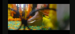 Anu Emmanuel feet photo 13