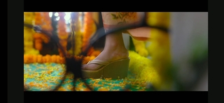 Anu Emmanuel feet photo 12