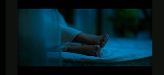 Anu Emmanuel feet photo 11