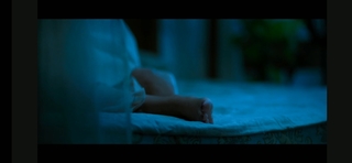 Anu Emmanuel feet photo 10