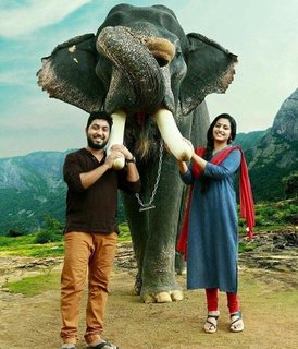 Anu Sithara feet photo 1
