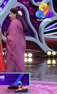Anu Sithara feet photo 7