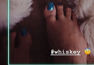 Anupama Parameshwaran feet photo thumbnail