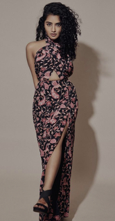 Anupama Parameshwaran feet photo thumbnail