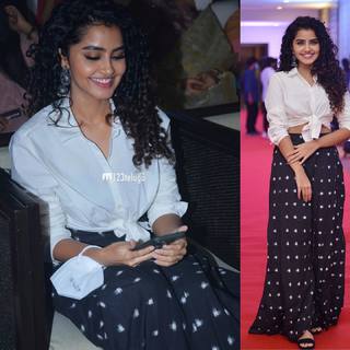 Anupama Parameshwaran feet photo thumbnail