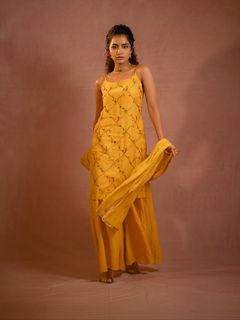 Anupama Parameshwaran feet photo 19