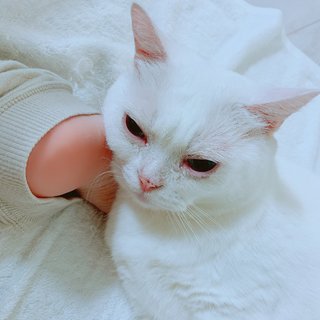 Aoi Yûki feet photo 15