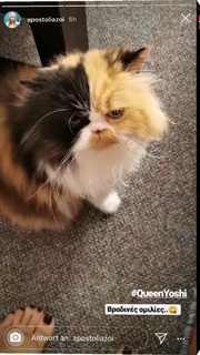 Apostolia Zoi feet photo thumbnail