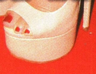 Araceli González feet photo 18