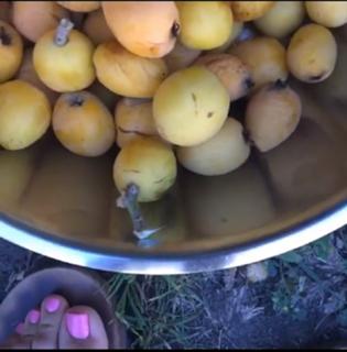 Araksya Karapetyan feet photo thumbnail