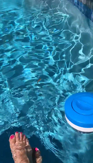 Araksya Karapetyan feet photo thumbnail