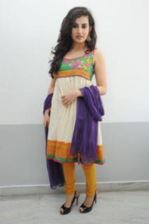 Archana feet photo 4