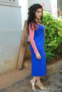 Archana feet photo 20