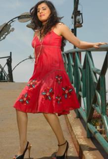 Archana feet photo 1