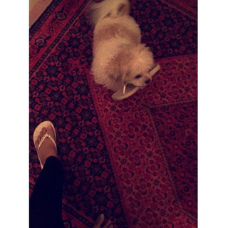 Areeba Habib feet photo 3