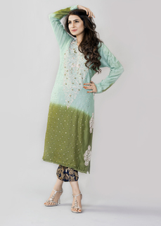 Areeba Habib feet photo 4