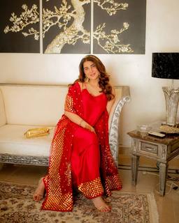 Areeba Habib feet photo 4