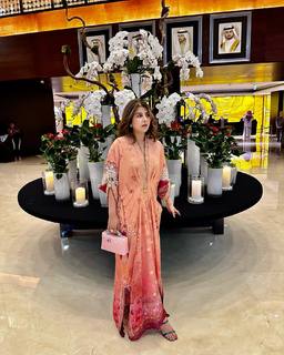Areeba Habib feet photo 17
