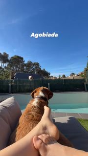 Ari Geli feet photo 5