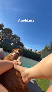 Ari Geli feet photo 4