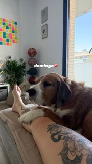 Ari Geli feet photo 19
