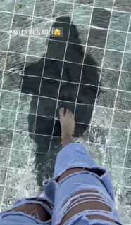 Ari Geli feet photo 8