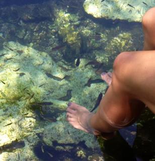 Ariadne Artiles feet photo 7