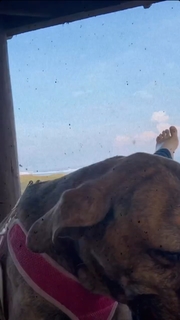 Ariadne Díaz feet photo thumbnail