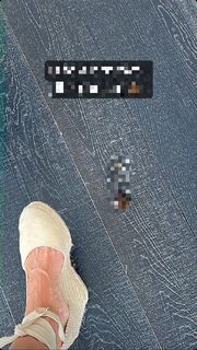 Arianna Bertoncelli feet photo 11