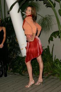 Arianne Zucker feet photo 15