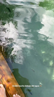 Arianny Tenorio feet photo thumbnail