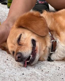 Arianny Tenorio feet photo thumbnail