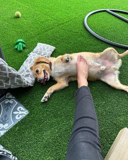 Arianny Tenorio feet photo thumbnail