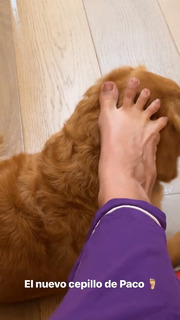 Arianny Tenorio feet photo thumbnail