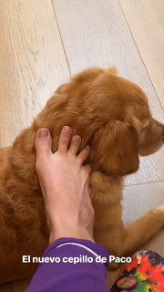 Arianny Tenorio feet photo thumbnail