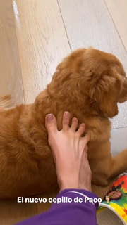 Arianny Tenorio feet photo thumbnail