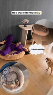 Arianny Tenorio feet photo thumbnail