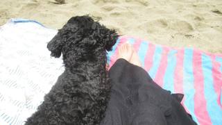 Ariel Martin feet photo 11