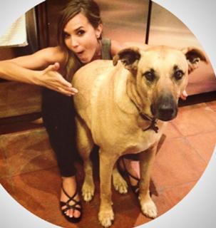 Arielle Kebbel feet photo thumbnail