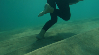Arielle Kebbel feet photo thumbnail