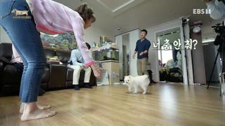 Arin feet photo 13